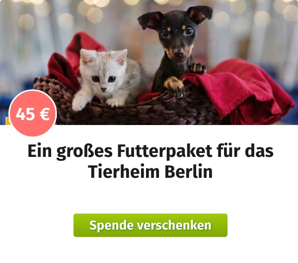Spende für ein großes Futterpaket für das Tierheim Berlin