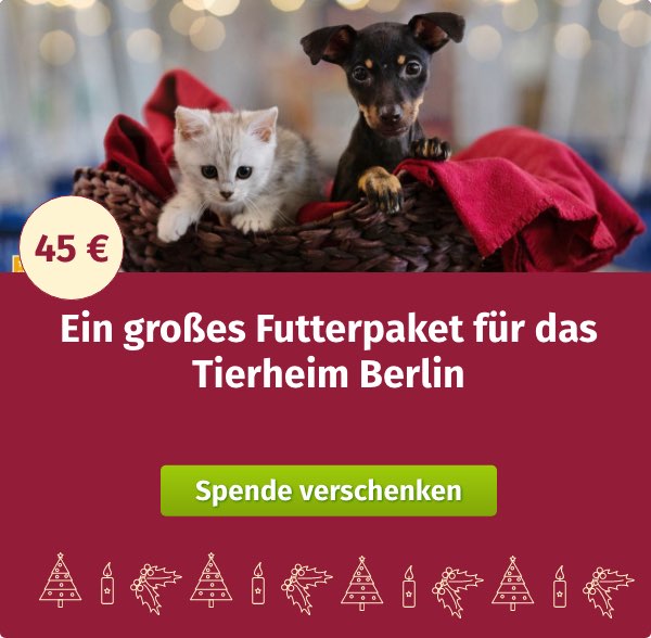 Spende für ein großes Futterpaket für das Tierheim Berlin